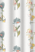 Blooms