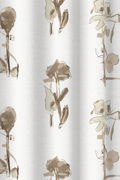 Blooms