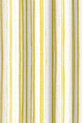 Party Stripe